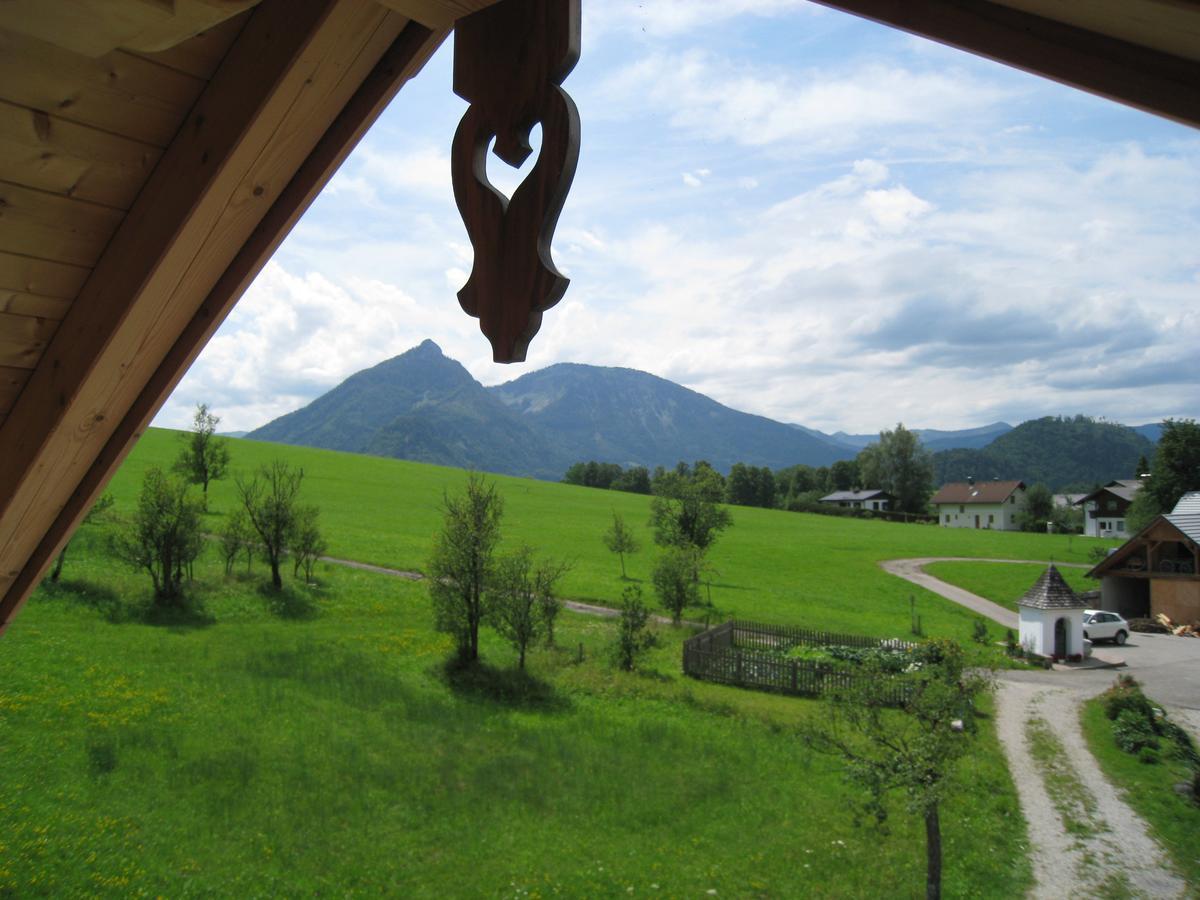 Ferienhutte Wolfgangsee Saint Wolfgang Kültér fotó